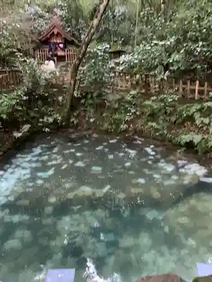 八重垣神社(島根県)