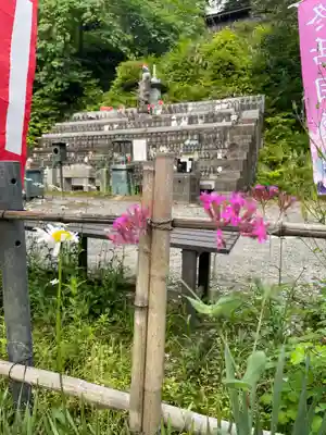 国上寺(新潟県)