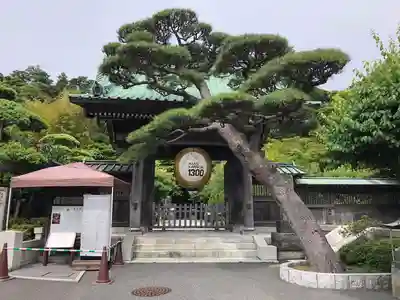 長谷寺の山門・神門