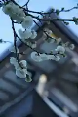 湯島天満宮(東京都)