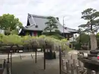 葛井寺のその他建物
