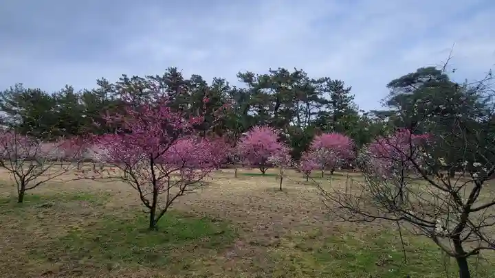 綱敷天満神社(愛媛県)
