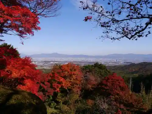 善峯寺の景色