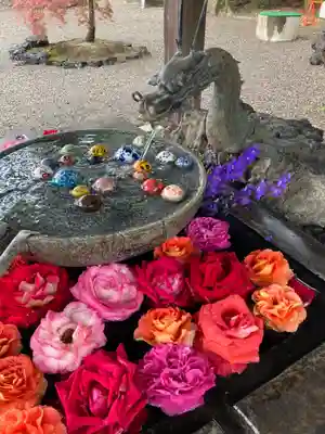 玉村八幡宮の手水舎