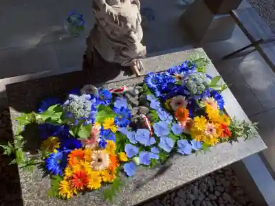 滑川神社 - 仕事と子どもの守り神の手水舎