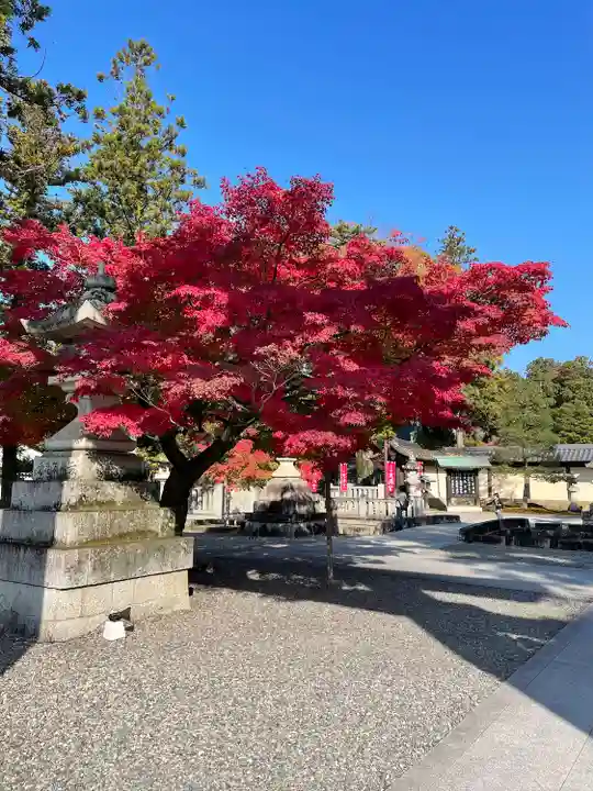 多賀大社の自然