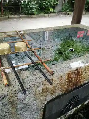 柏神社の手水舎