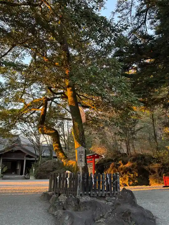 霧島神宮(鹿児島県)