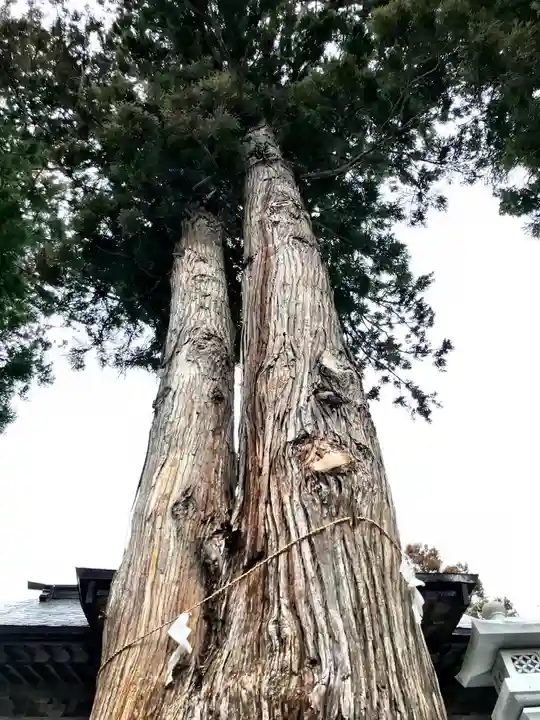 高司神社〜むすびの神の鎮まる社〜の自然