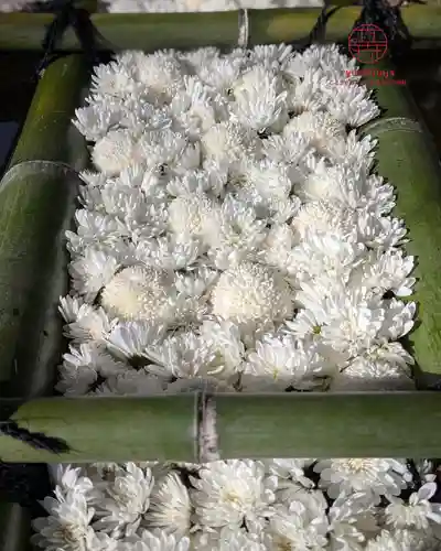 立志神社(滋賀県)