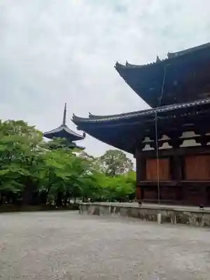 東寺（教王護国寺）(京都府)