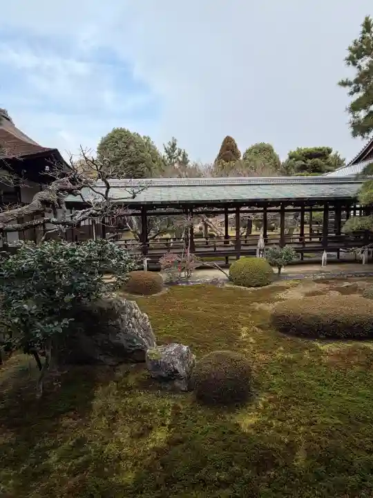 大覚寺の{uncategorized: "未分類", other: "その他", undefined: "問題あり", building: "その他建物", grave: "お墓", sacred_gate: "鳥居", guardian: "狛犬", statue: "像", buddha: "仏像", history: "歴史", nature: "自然", garden: "庭園", animal: "動物", pagoda: "塔", temizu: "手水舎", mountain_gate: "山門・神門", sanctuary: "本殿・本堂", subordinate: "末社・摂社", art: "芸術", scenery: "景色", jizo: "地蔵", ema: "絵馬", goshuin: "御朱印", omikuji: "おみくじ", items: "授与品その他", amulet: "お守り", goshuincho: "御朱印帳", eats: "食事", festival: "お祭り", votive_dance: "神楽", shichigosan: "七五三参", wedding: "結婚式", experience: "体験その他", initially: "初詣", around: "周辺", anti_infection: "感染症対策"}