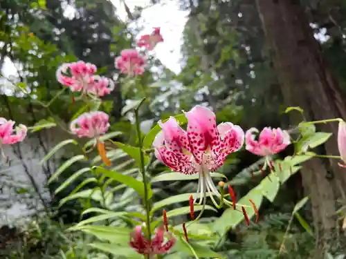 大宮温泉神社(栃木県)