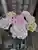なーこさん