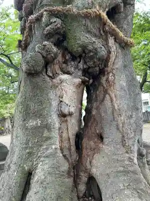 美和神社(長野県)