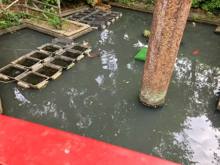 厳島神社の{uncategorized: "未分類", other: "その他", undefined: "問題あり", building: "その他建物", grave: "お墓", sacred_gate: "鳥居", guardian: "狛犬", statue: "像", buddha: "仏像", history: "歴史", nature: "自然", garden: "庭園", animal: "動物", pagoda: "塔", temizu: "手水舎", mountain_gate: "山門・神門", sanctuary: "本殿・本堂", subordinate: "末社・摂社", art: "芸術", scenery: "景色", jizo: "地蔵", ema: "絵馬", goshuin: "御朱印", omikuji: "おみくじ", items: "授与品その他", amulet: "お守り", goshuincho: "御朱印帳", eats: "食事", festival: "お祭り", votive_dance: "神楽", shichigosan: "七五三参", wedding: "結婚式", experience: "体験その他", initially: "初詣", around: "周辺", anti_infection: "感染症対策"}