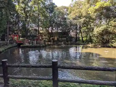 市杵嶋姫神社(奈良県)