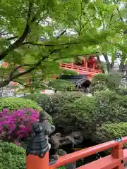 千葉神社の建物その他