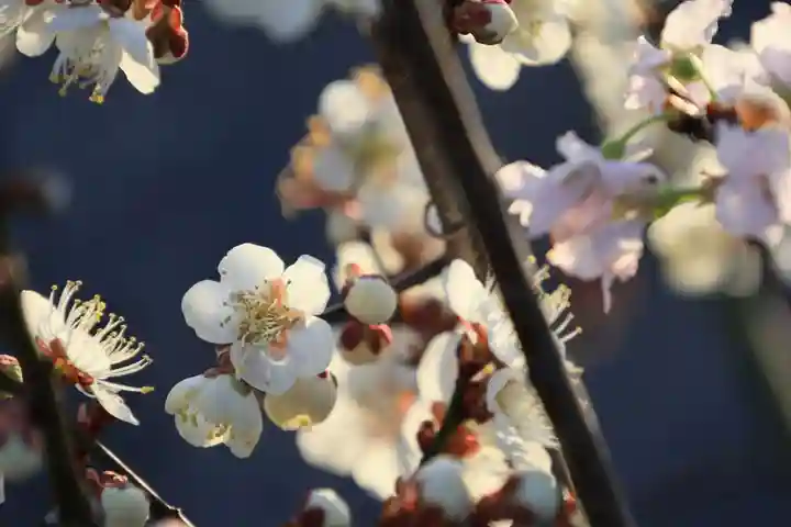 熊野福藏神社の手水舎