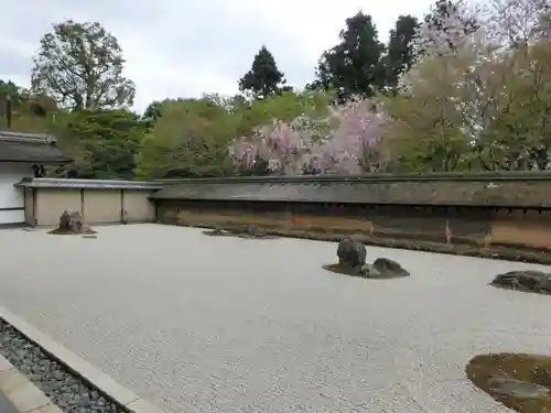 龍安寺の庭園