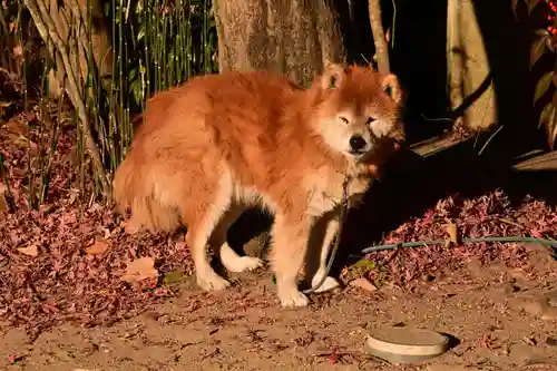 伽耶院(兵庫県)