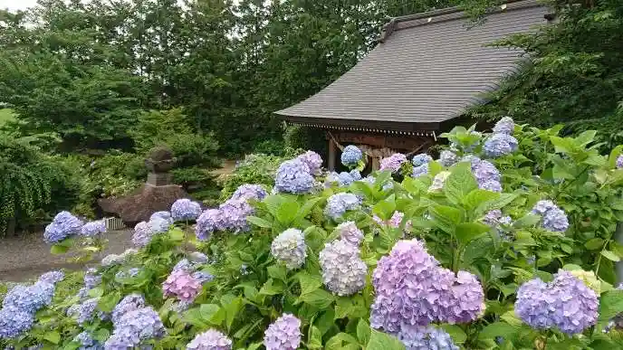 石母田 三吉神社の自然