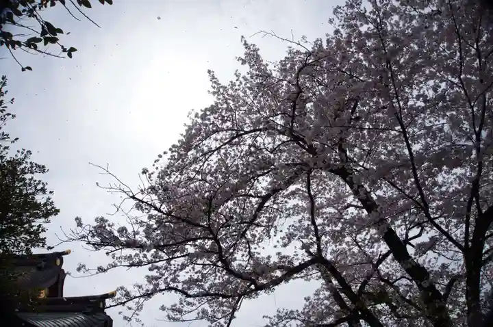 東伏見稲荷神社(東京都)