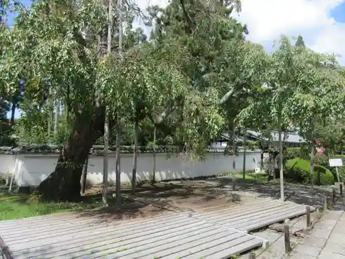 三宝院（三宝院門跡）(京都府)