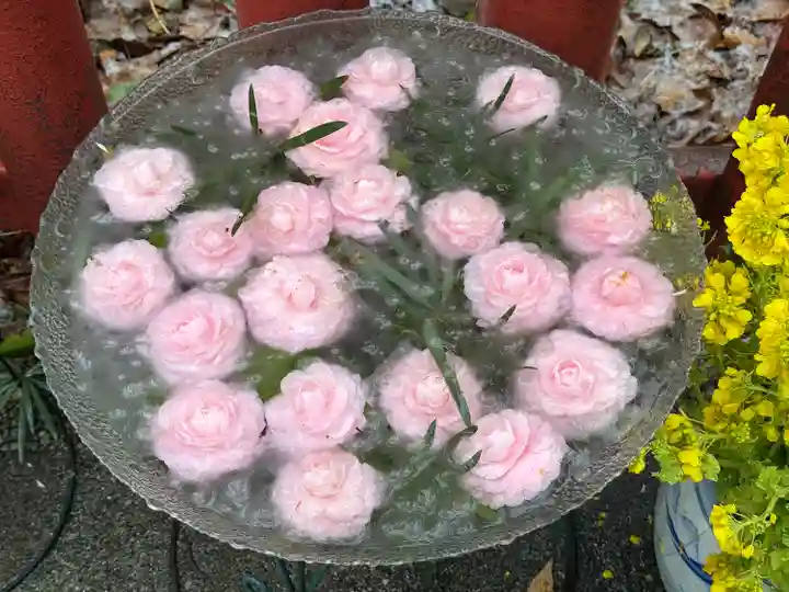 川越八幡宮(埼玉県)