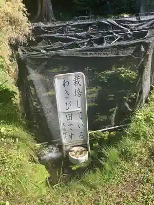 大滝神社(山梨県)