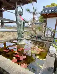 真言宗　善通寺派　薬王寺(香川県)