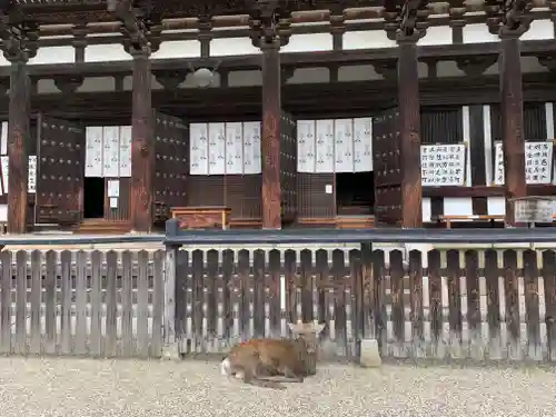 興福寺の本殿・本堂