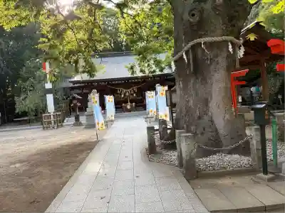 新田神社(東京都)