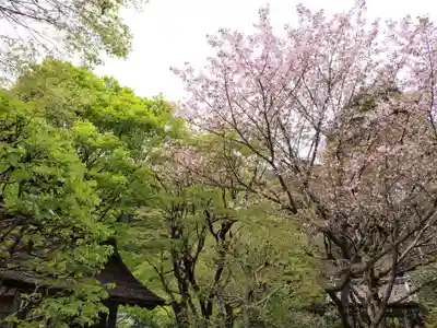 寂光院(京都府)