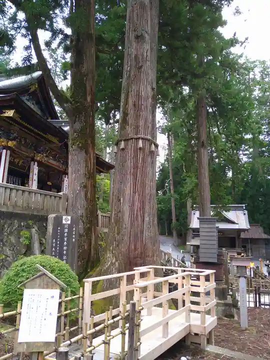 三峯神社の自然