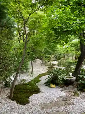 興聖寺(京都府)
