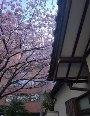 蔵前神社(東京都)