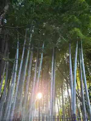 慈宏寺(東京都)