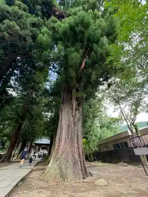 河口浅間神社(山梨県)