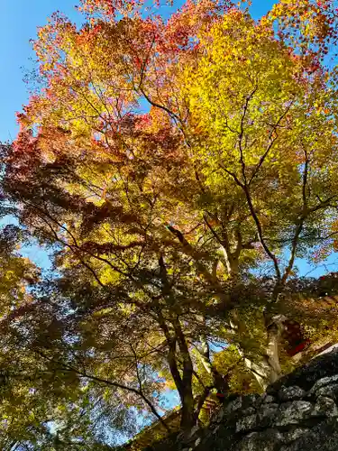 談山神社(奈良県)