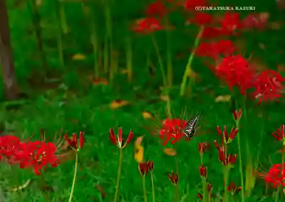 横浜　西方寺(神奈川県)