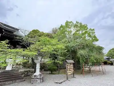 近江神宮(滋賀県)