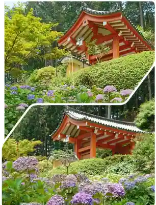 三室戸寺(京都府)