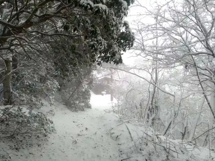 七面山奥之院の自然