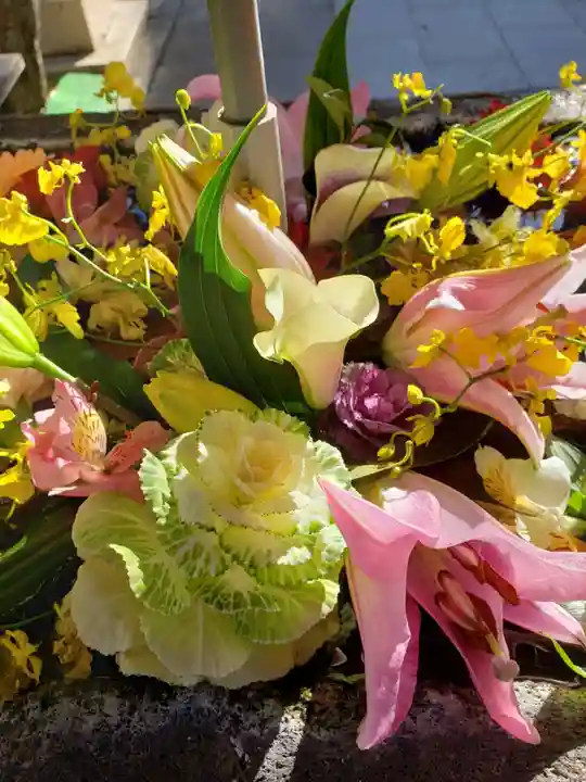 鳩森八幡神社の手水舎