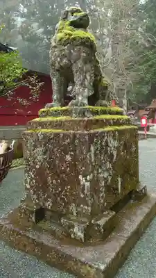 箱根神社の狛犬