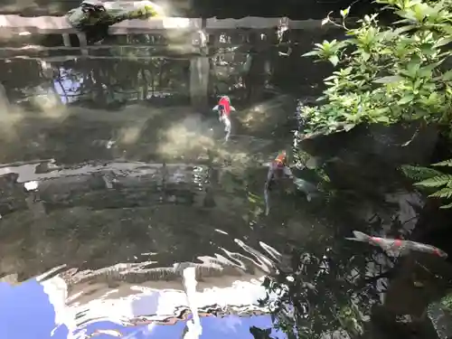 子安神社の庭園