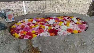 金井神社の手水舎