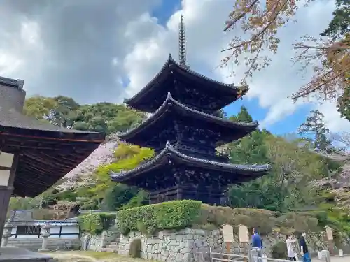 園城寺（三井寺）の建物その他