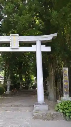 国造神社の鳥居